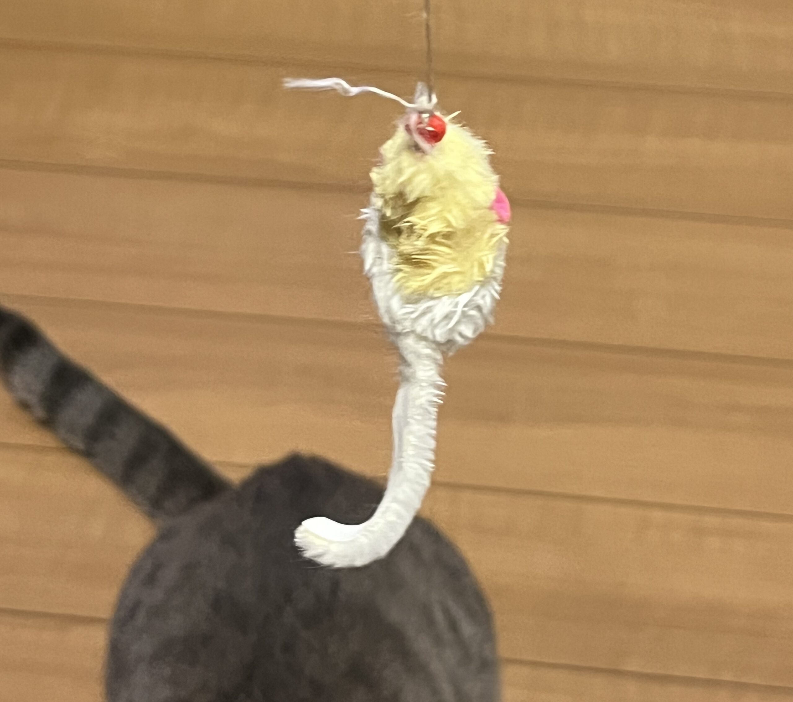 ネズミのおもちゃボロボロ