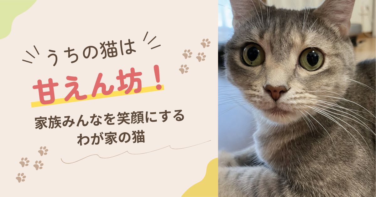 うちの猫は甘えん坊〜アイキャッチ