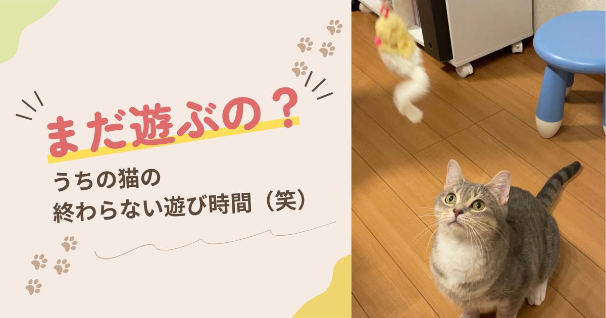 まだ遊ぶの〜アイキャッチ