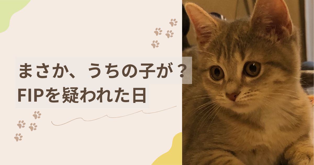FIPの疑い〜アイキャッチ