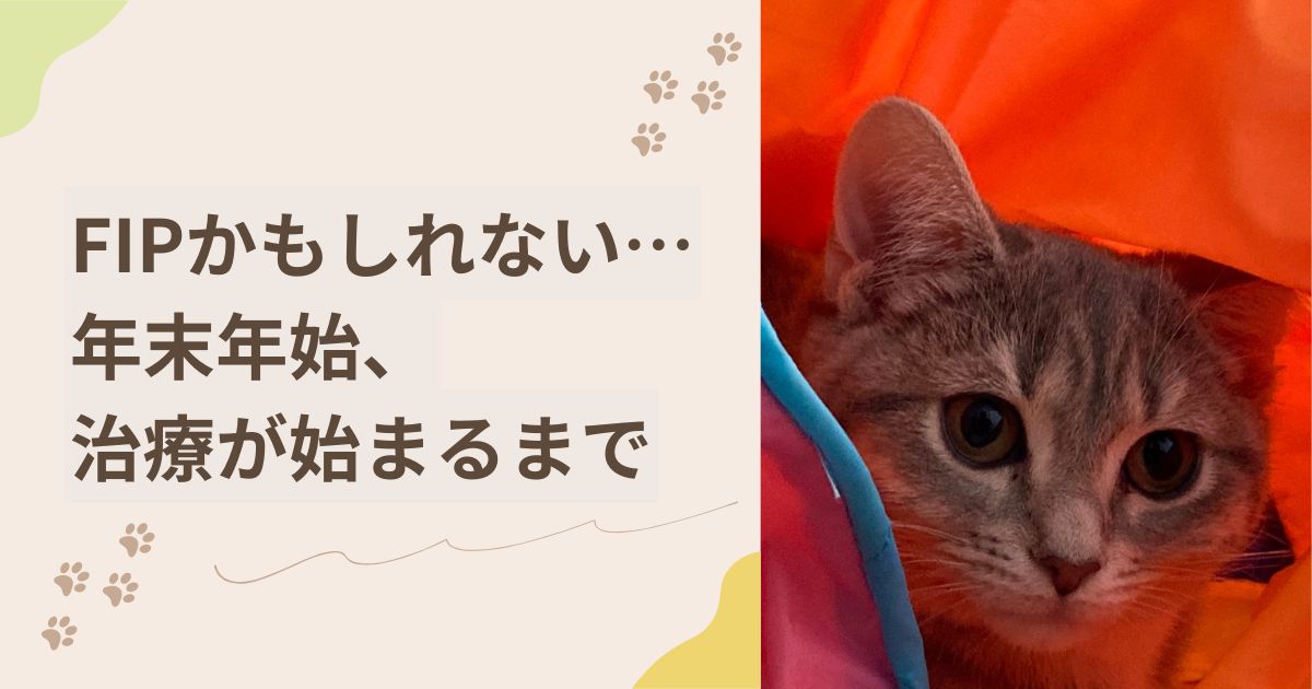 治療が始まるまで